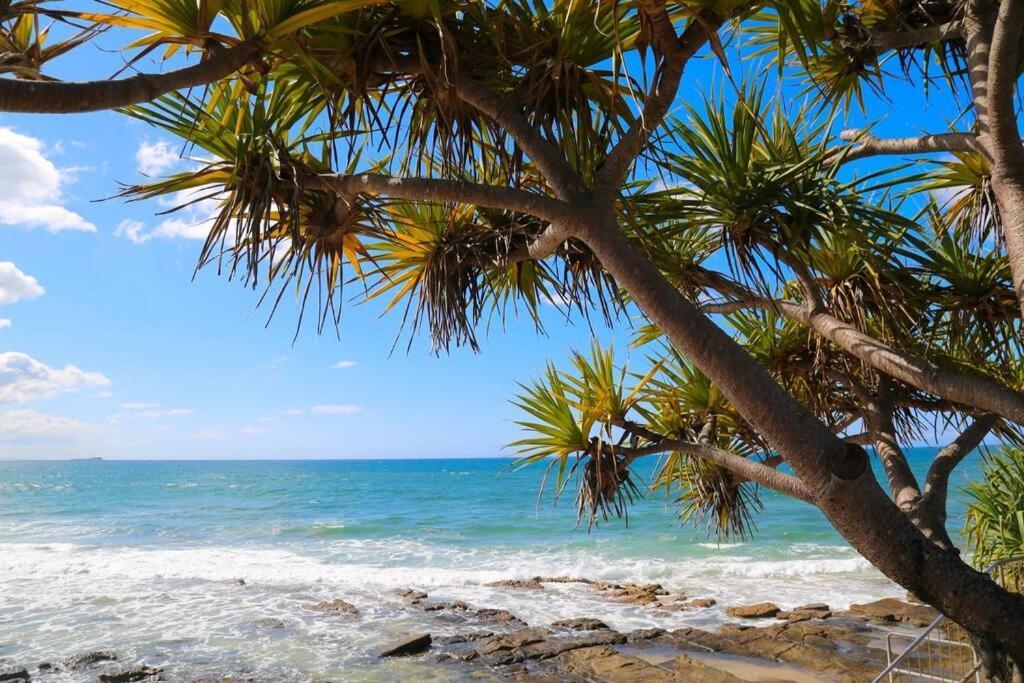 Alex Heads Beachfront Resort King Bed Studio Room Alexandra Headland Esterno foto